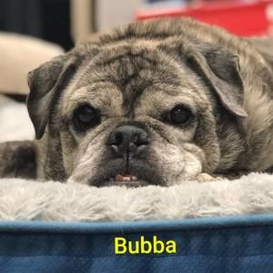 Meet your Posher, Darleen